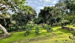 Michelle’s Kona Coffee