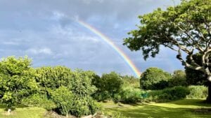 Michelle’s Kona Coffee