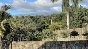 Michelle’s Kona Coffee