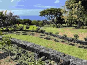 Michelle’s Kona Coffee